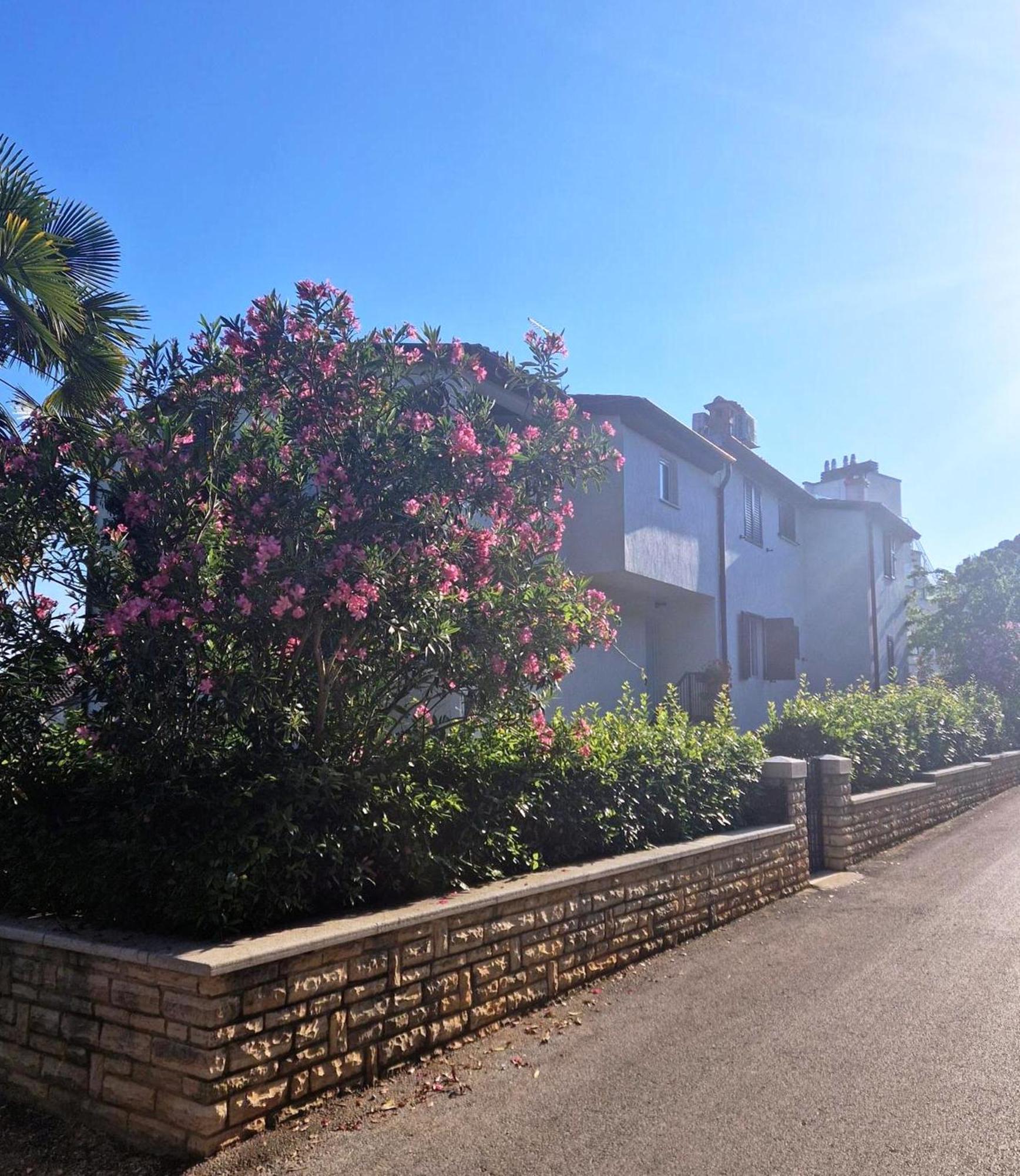 Molo View Apartment Rovinj Exterior foto